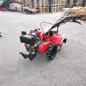 �³�����԰�������ݻ� ����ʽ��������΢���� ��԰������¢ʩ�ʻ�����