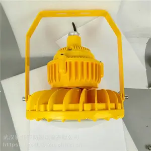 华荣 制药厂LED防爆灯100w 炼化厂LED防爆灯120w 生产厂家