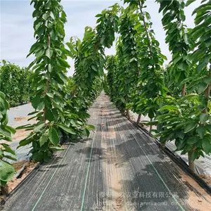 3-5����ӣ�����籨�� 2��Ի�ӣ���� ��ũũҵ1-5�Ի�ӣ����