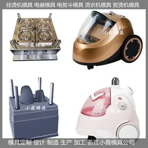 挂烫机模具 注塑挂烫机模具 来样加工