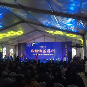 池州灯光音响出租,舞台led大屏设备租赁价格低,庆典典礼布置,晚会发布会会议现场布置