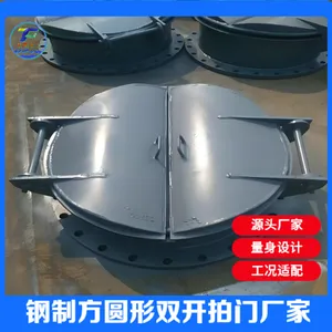 丰泰水工不锈钢节能型双开拍门,规格齐全,支持按需定做