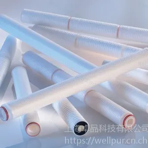 PBTWell聚酯类滤芯