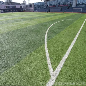 ��׼ٷ���� �����ֳ���������� ��ѧ�ٳ��ٲ�ƺ