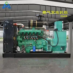 燃气发动机 250KW燃气发电机组 供应200KW燃气发电机组