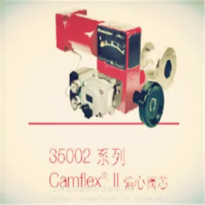 41005ֱͨ�ͺͽ������׵����ֻ� ����÷������Masoneilan