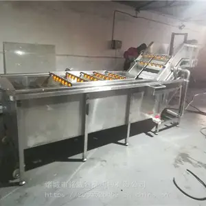 油菜气泡清洗机 蔬菜清洗机厂家