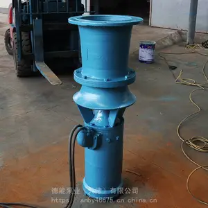 鱼池农用轴流泵
