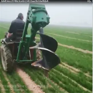 ƽ��ɽ�� ������������� ֲ����Ѩ�� �����ӻ� ����