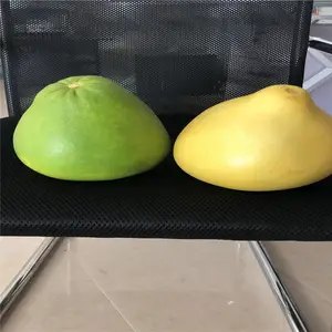 云南正宗红宝石青柚苗 两年泰国三红苗木培育基地
