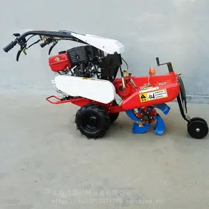 �賬��д󽪿����� �����԰���������� С����԰������