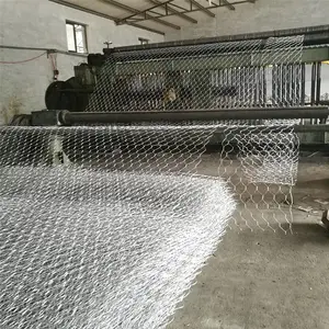 ��̩�̱�������̬�̸�����пʯ����