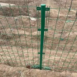 ���� Ȧ����ֳ����դ ���ٹ�·������ �߾�˫��˿������