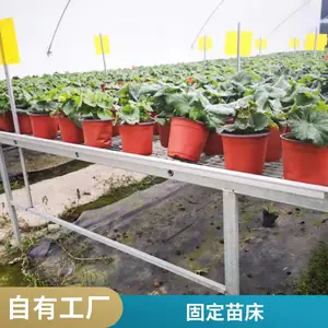 ���Ҵ���̶���ϫ�紲���绨�ܳ�ϫ����װ�װ����