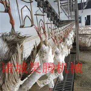 鹅屠宰流水线质优价廉厂家