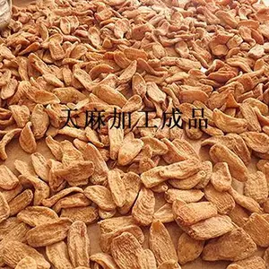 加工天麻设备生产企业TSXQ-30清洗天麻设备(烘干设备)