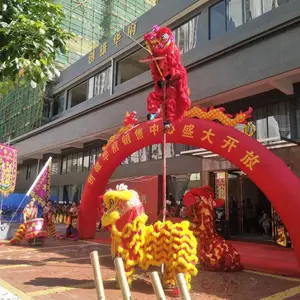 台山开业醒狮表演 广东醒狮表演 江门开业醒狮表演