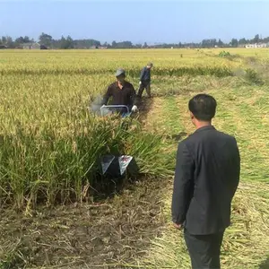 «έ������ǰ�ø�˻� ����С���ַ���ɹ��