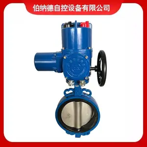 ���ҹ�Ӧ���ɵ����ܷ�綯����DN65 25����Լ�ʽ����