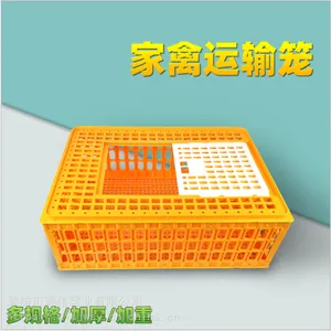 禽用周转箱