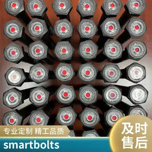 ������ñ ��ĸ ���������� ������˨ smartbolts