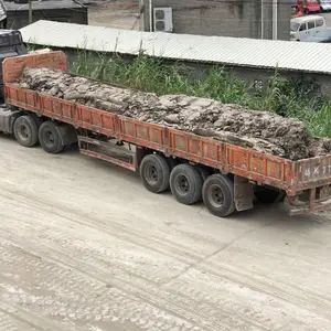 �մ������а�����