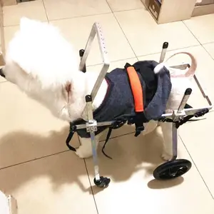 �������γ� ����֫�м������������� ���Ȳм������γ�
