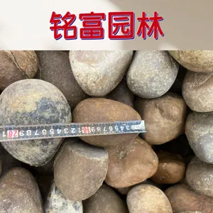 阳 江8-15厘米鹅卵石价 格，120元一吨的鹅卵石图片，散装鹅卵石