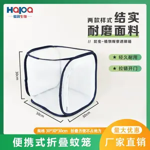 �۵���������������Я���沶׽������ֳ��������۲���Ӭ����