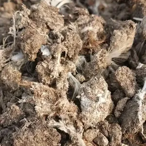 博乐发酵鸡粪价格库尔勒生物有机肥阿克苏干鸡粪盐碱地调理参考方案