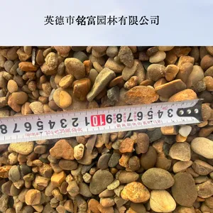天然鹅卵石原石 花园装饰卵石 园林绿化鹅卵石装车价