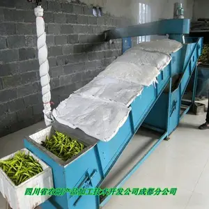 黄花菜设备 黄花菜蒸煮机 黄花菜连续蒸煮机 木山1型 批量加工降成本