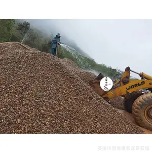 5-8���ֶ���ʯ������ʯ���ͻ��أ�С����ʽ�̵�ʯ��