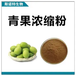 青果粉 斯诺特 喷雾干燥工艺 食品级固体饮料原料