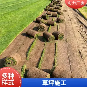 户外屋顶花园设计混播草坪施工屋顶花园绿化户外草坪铺装昌平