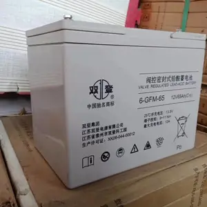 双登蓄电池6-GFM-65 12V65AH代理商