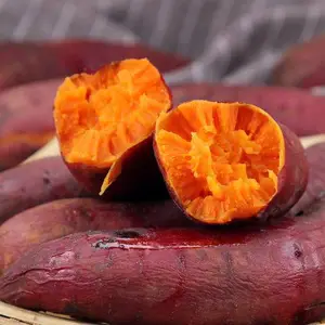 白杨甜糯红薯 湛江番薯 基地直销