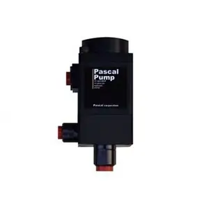 ����PASCAL������