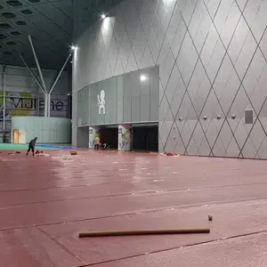 展会覆膜地毯深圳湾体育馆地毯地毯安装铺设 拉绒覆膜加厚地毯