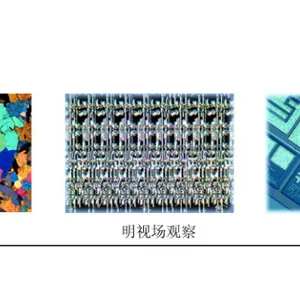 无锡体视金相显微镜经济实惠 源头厂家 无锡欧驰检测供应