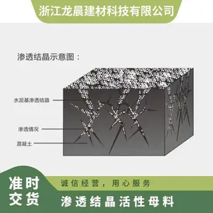 龙晨防腐涂料增强混凝土强度无需做找平层水泥基渗透结晶母料配