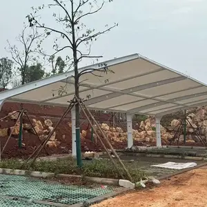 ����Ĥ�ṹ��������ͣ������׮��綯���г��ﾰ������������