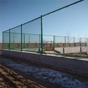 ������Χ�� С�������� ��˿���ο׹�����