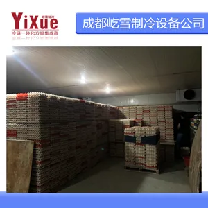 ����������ؿ⡢��������豸��װ