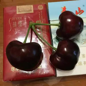 ����˹8��ӣ�����ɫ��Ƥ ����˹8��ӣ��������������������