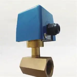 1��˿��ˮ��ָʾ��DN25 ��Ӣ�յ� ����ˮ������ ������1��˿����