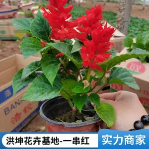 һ���� �������� �����칤�̻��� ���� ��ڻ��� �ڻ�����