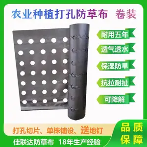 打孔防草布卷装100米 中药材花卉开孔防草地膜 农用菜地除草地布蔬果打孔防草布