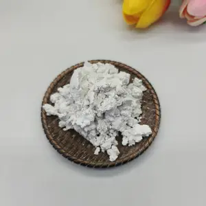 ��ҵ���������˼��� ������ Ϳ�������ð�ɫ���չ�������