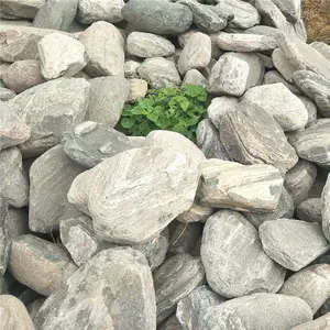 ��������ѩ��ʯ԰�ֲ��� ����ѩ��ʯ�ѻ��� ����ѩ��ʯ��ƬΧ��